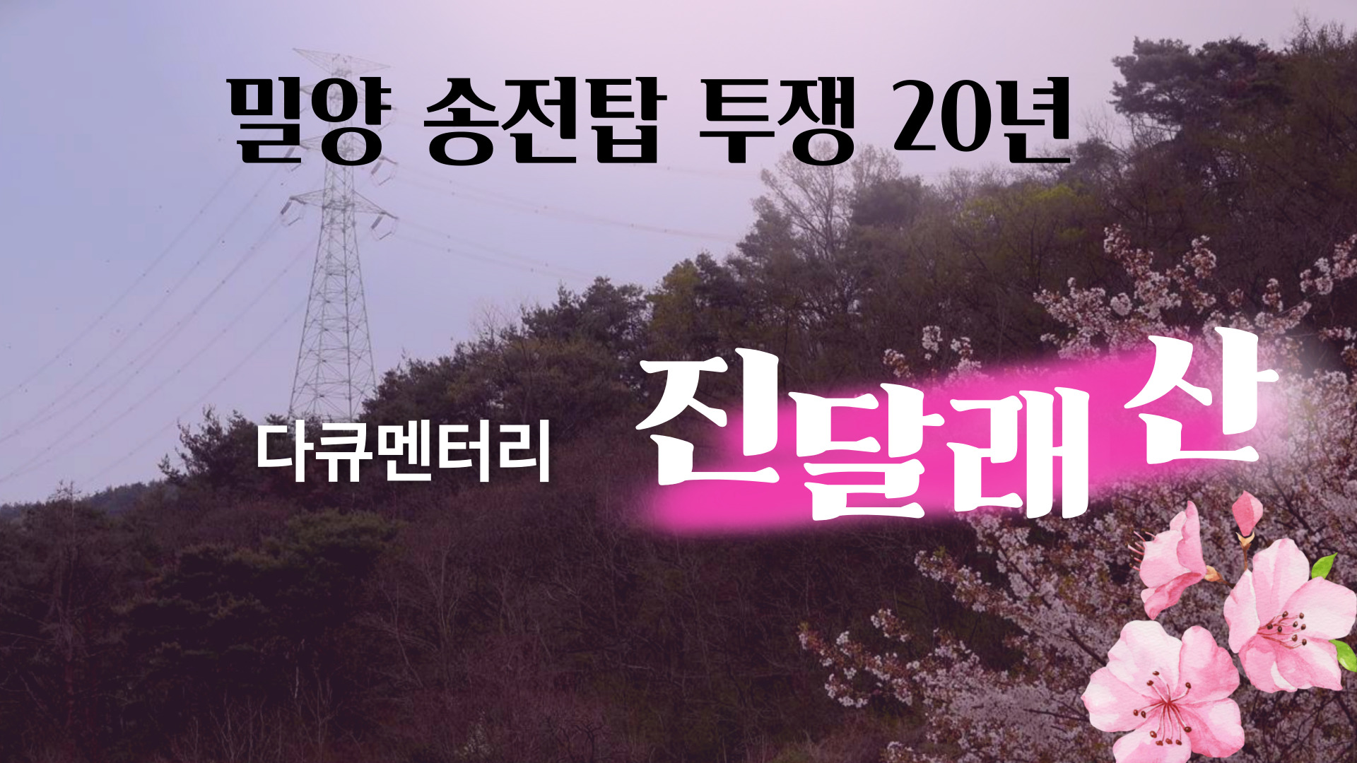 밀양 다큐 <진달래 산>